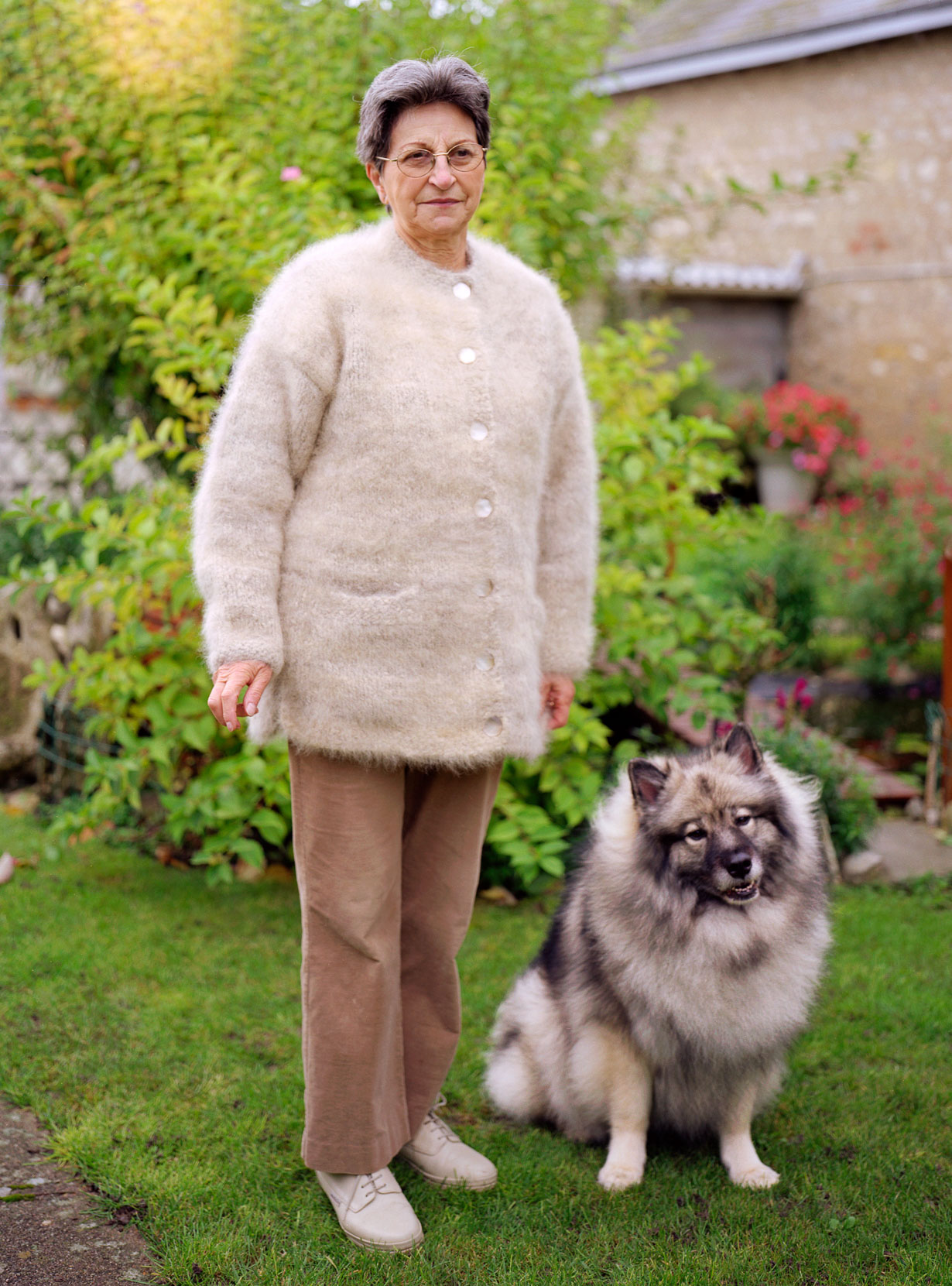 Dog sales hair wool